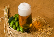 В Геленджике открылась пивоварня, где можно приобрести "живое" пиво